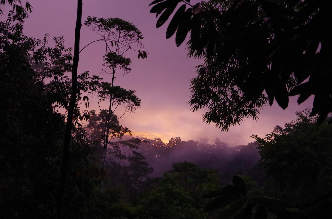 Amazonita Ecolodge Dos Brazos Bagian luar foto