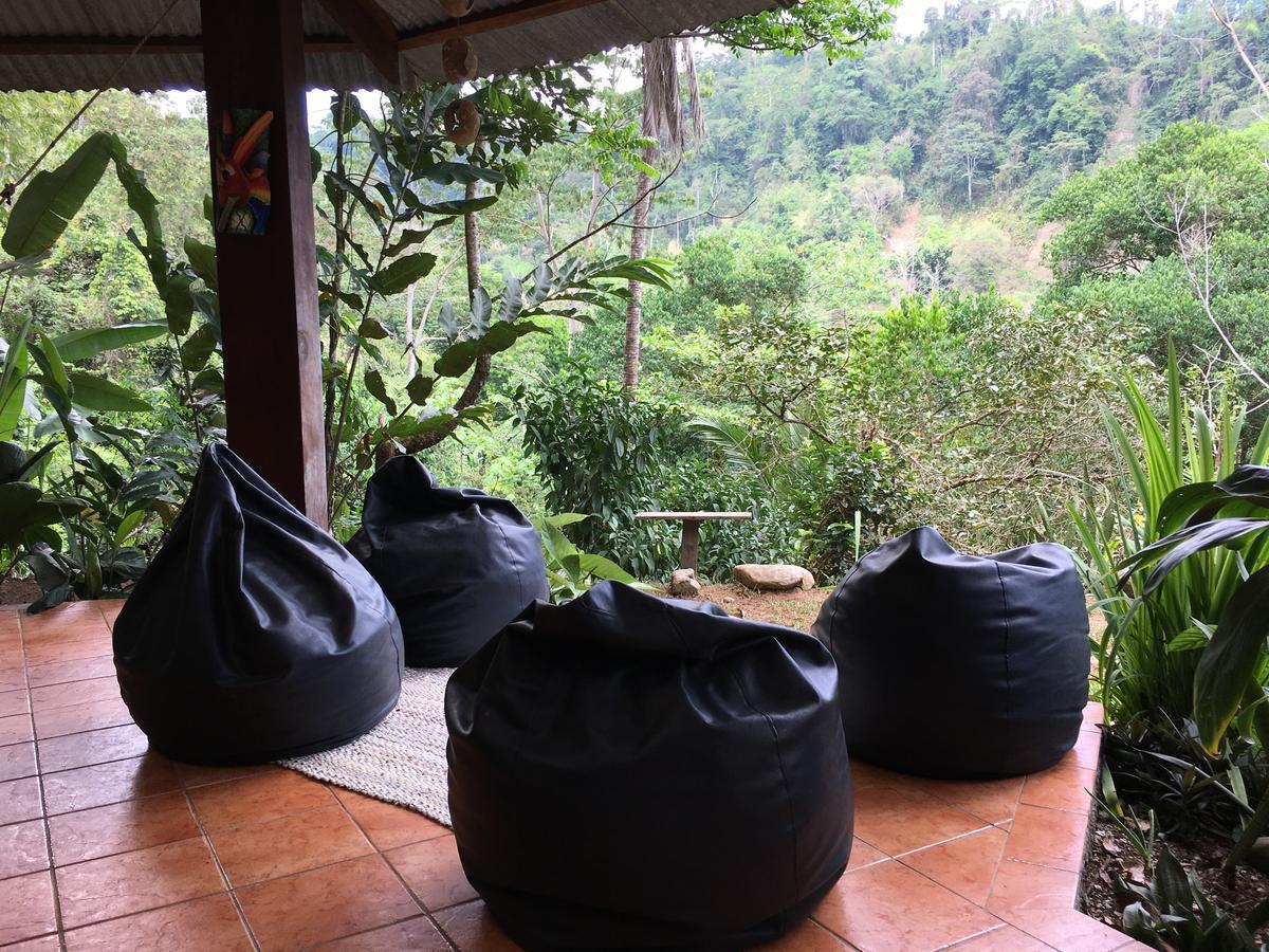 Amazonita Ecolodge Dos Brazos Bagian luar foto