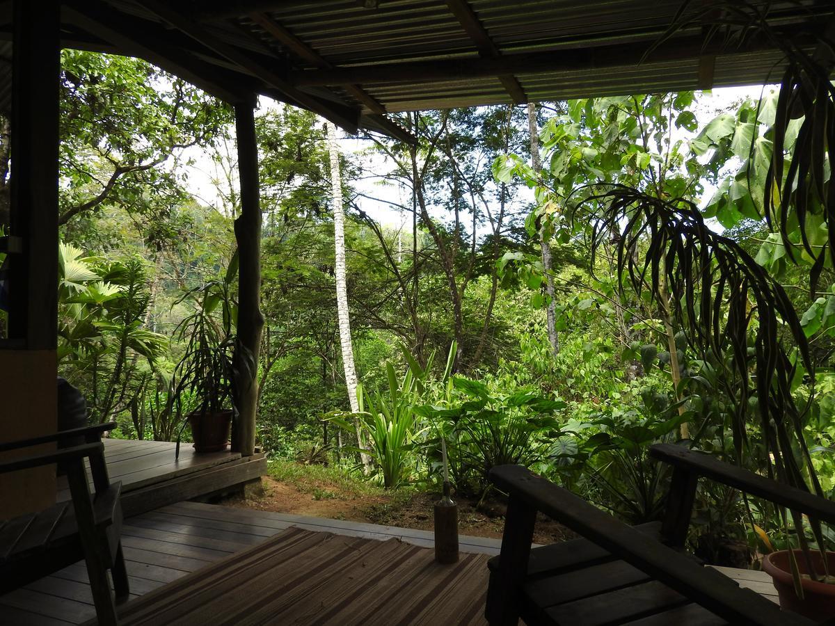 Amazonita Ecolodge Dos Brazos Bagian luar foto