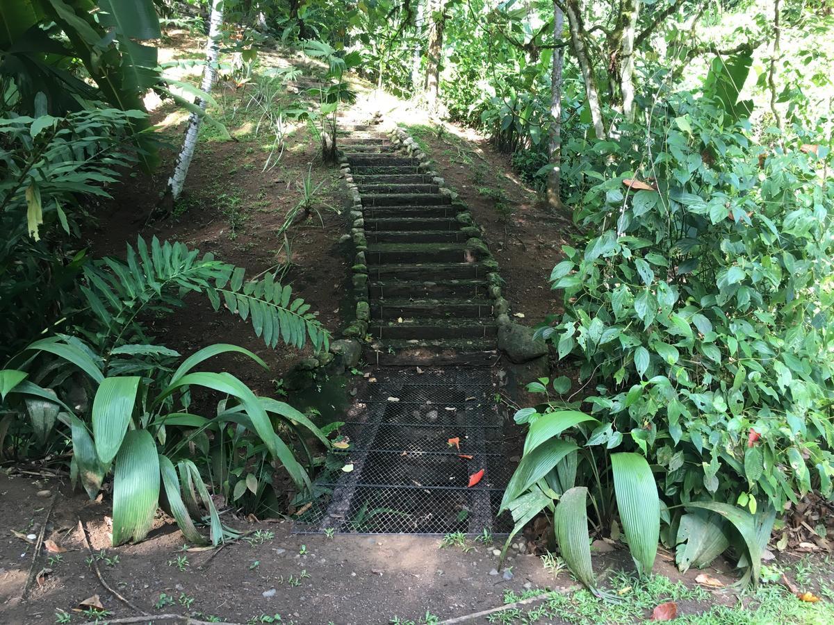 Amazonita Ecolodge Dos Brazos Bagian luar foto