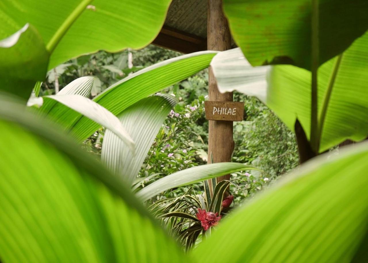 Amazonita Ecolodge Dos Brazos Bagian luar foto