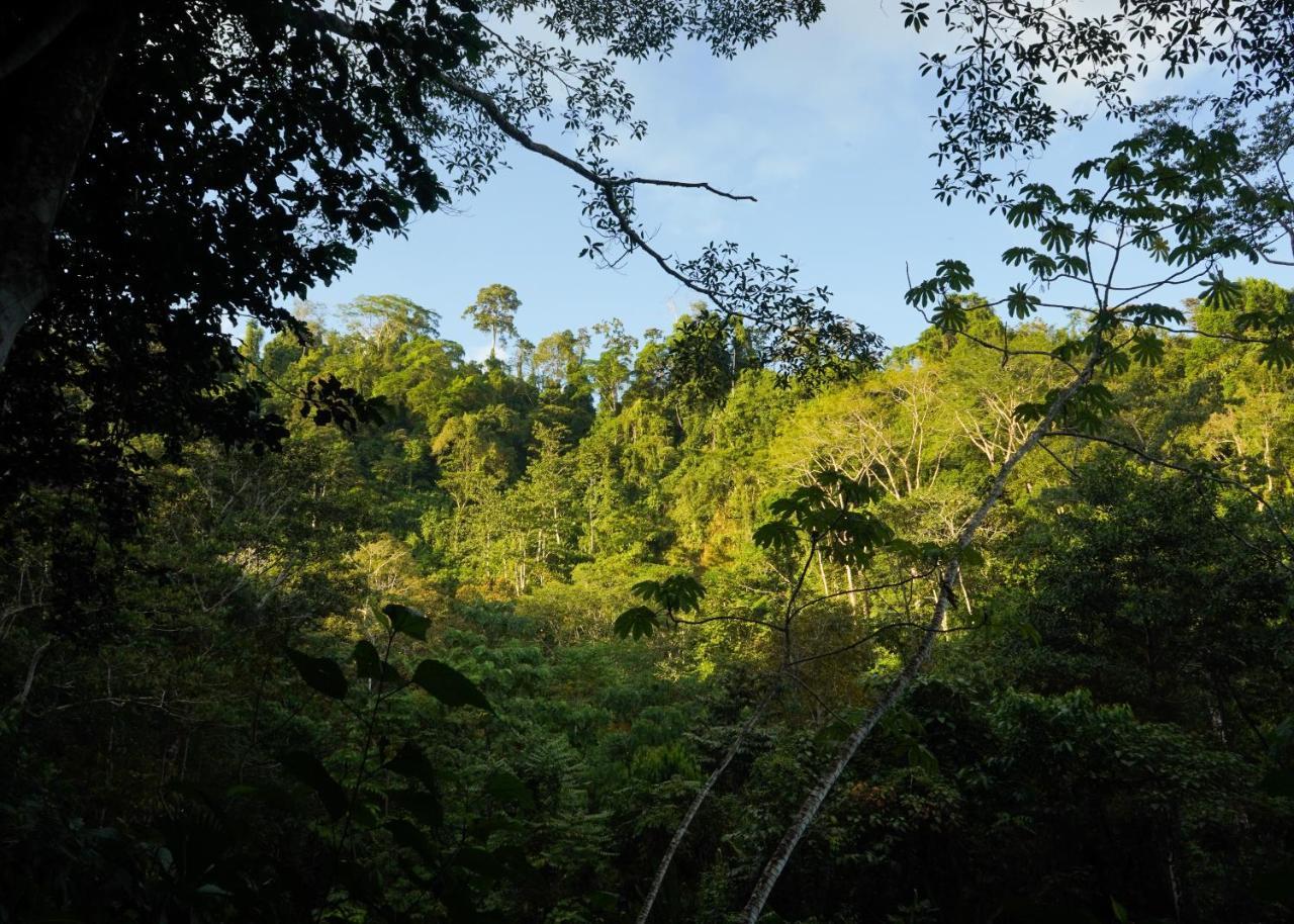 Amazonita Ecolodge Dos Brazos Bagian luar foto