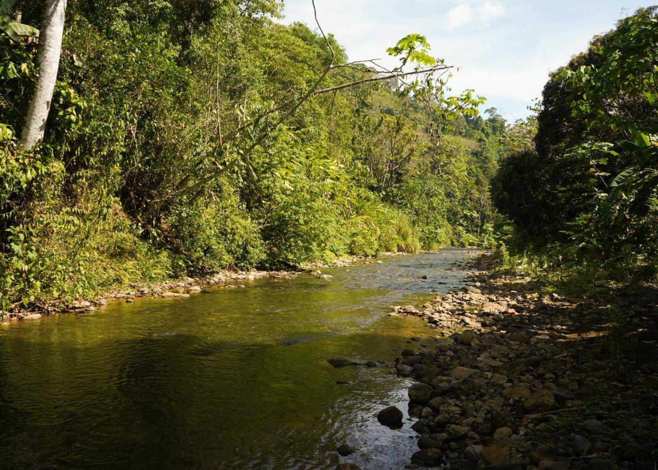 Amazonita Ecolodge Dos Brazos Bagian luar foto