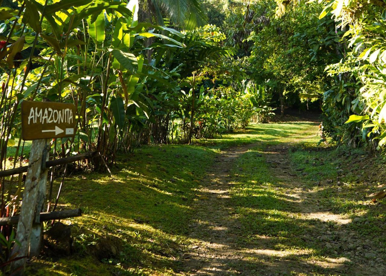 Amazonita Ecolodge Dos Brazos Bagian luar foto